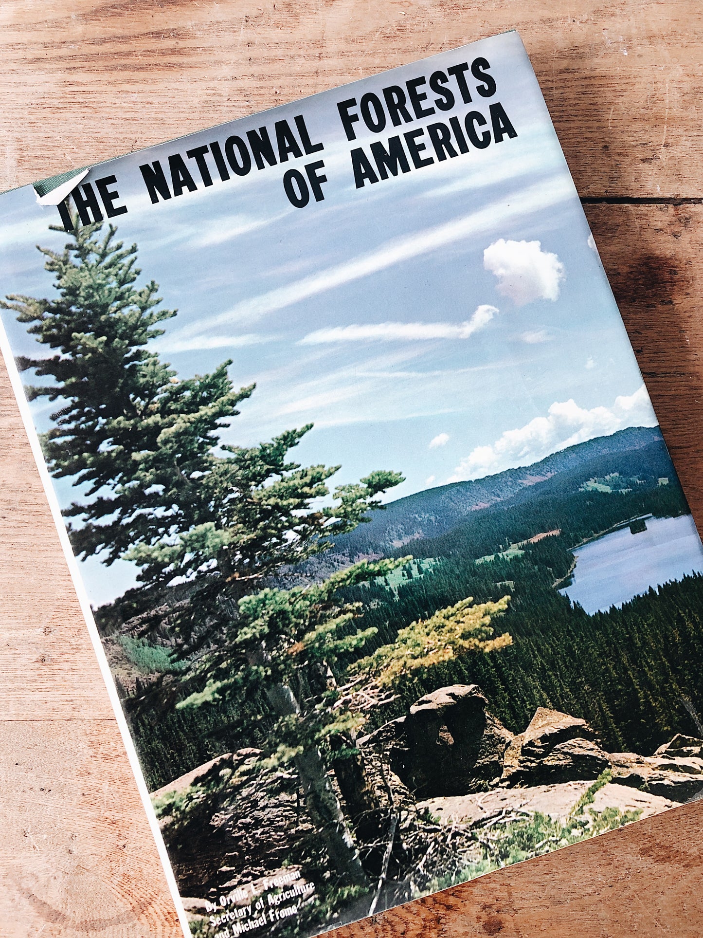Vintage National Forests of America Book