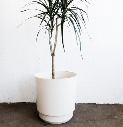 Large Vintage Mod Floor Planter