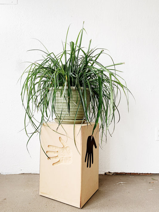 Handmade Ply Plant Stand / Table