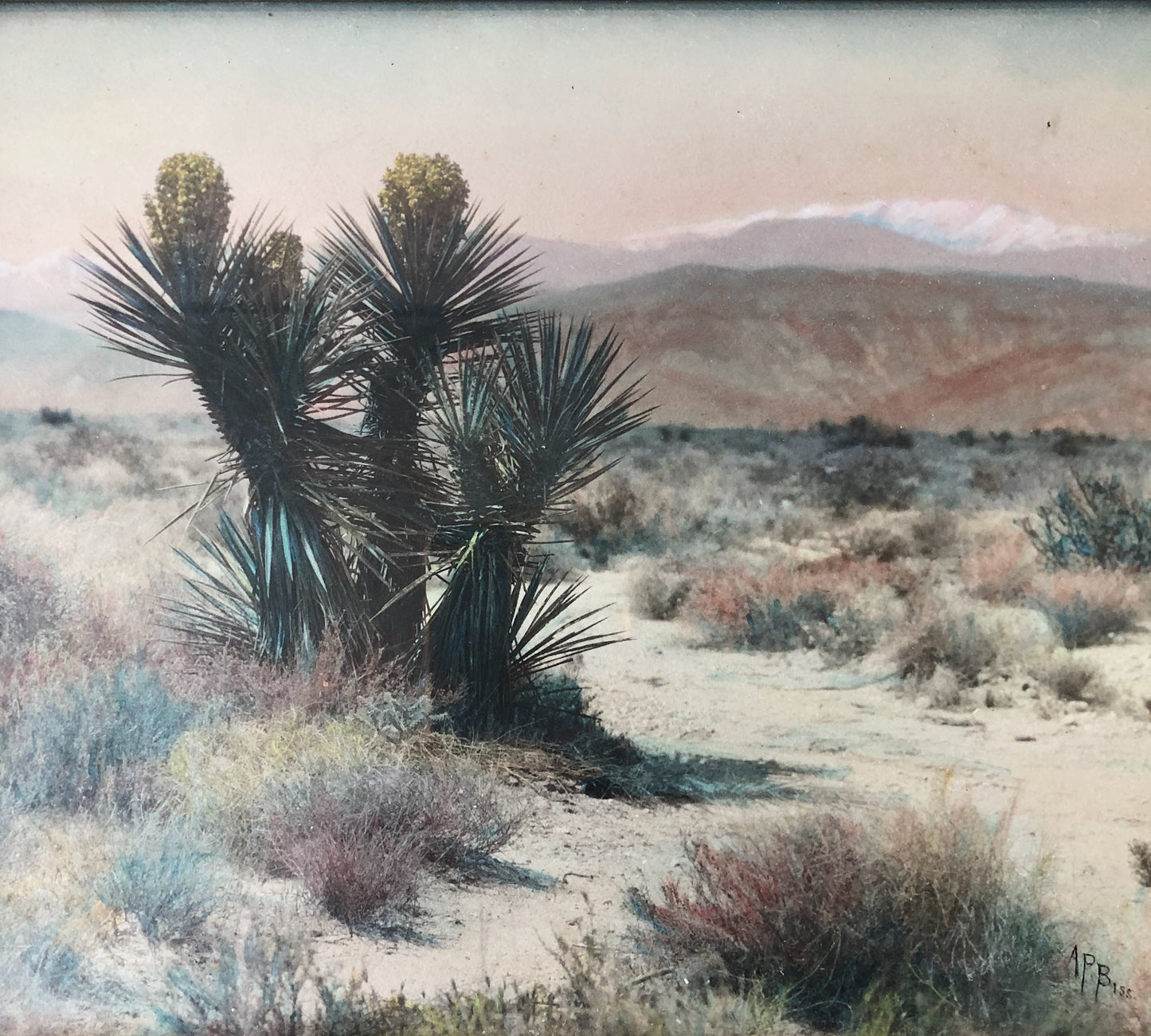 Antique Hand Tinted Photograph