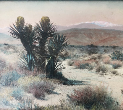 Antique Hand Tinted Photograph