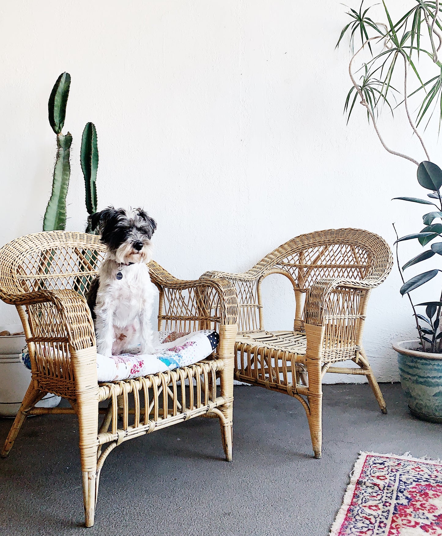 Vintage Bamboo and Wicker Chair