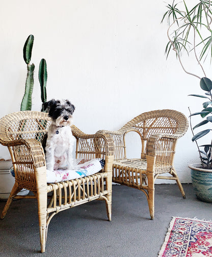 Vintage Bamboo and Wicker Chair