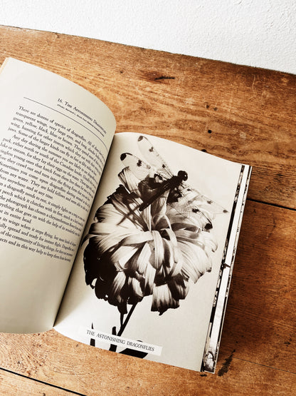 Vintage Natural History Book