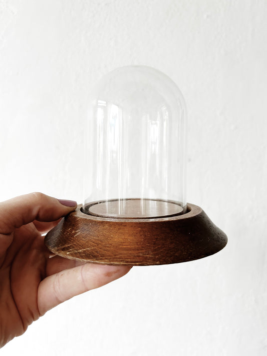 Small Vintage Display Cloche with Stand