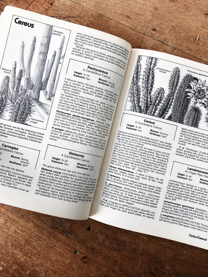 Vintage Succulent Planter and Book