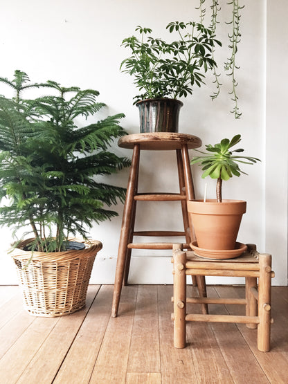 Wood and Bamboo Stool