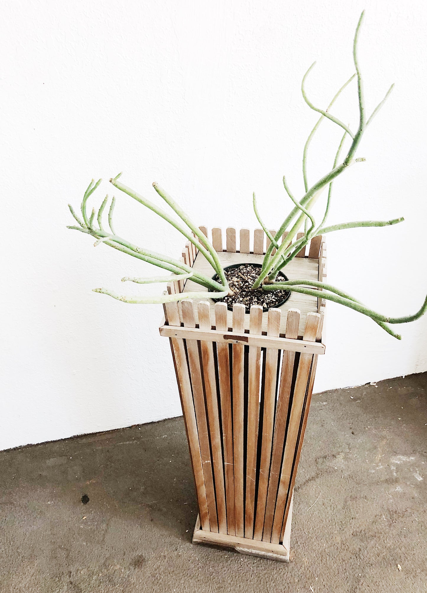 Handmade Cedar Plant Stand
