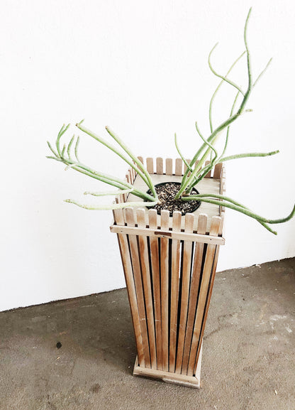 Handmade Cedar Plant Stand