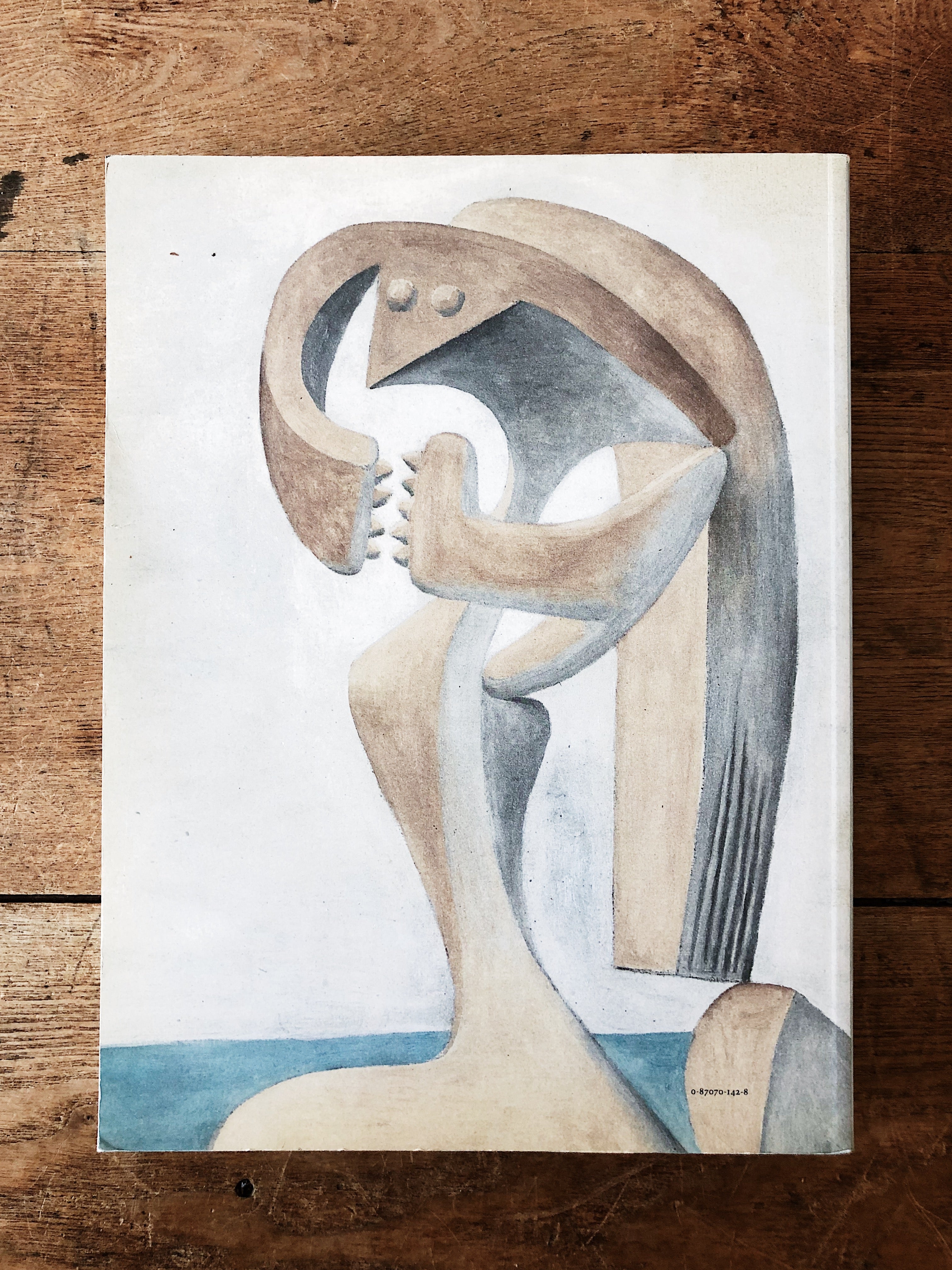 Picasso and Portraiture Book – Maven Collective