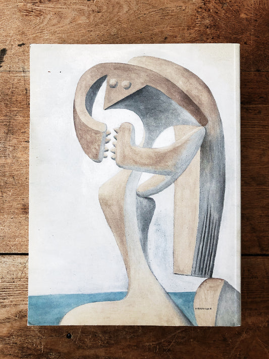 Picasso and Portraiture Book