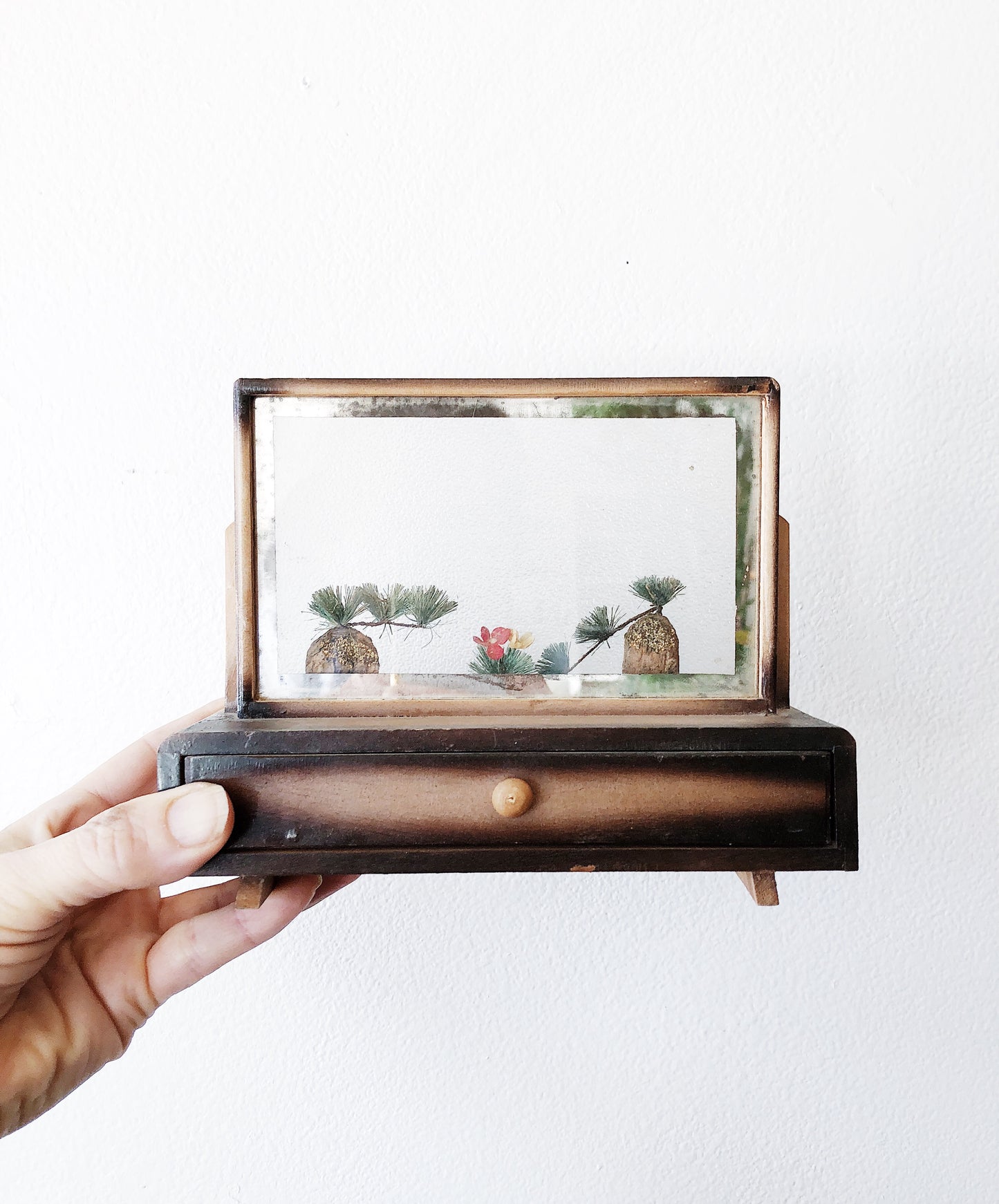 Vintage Terrarium Souvenir Frame
