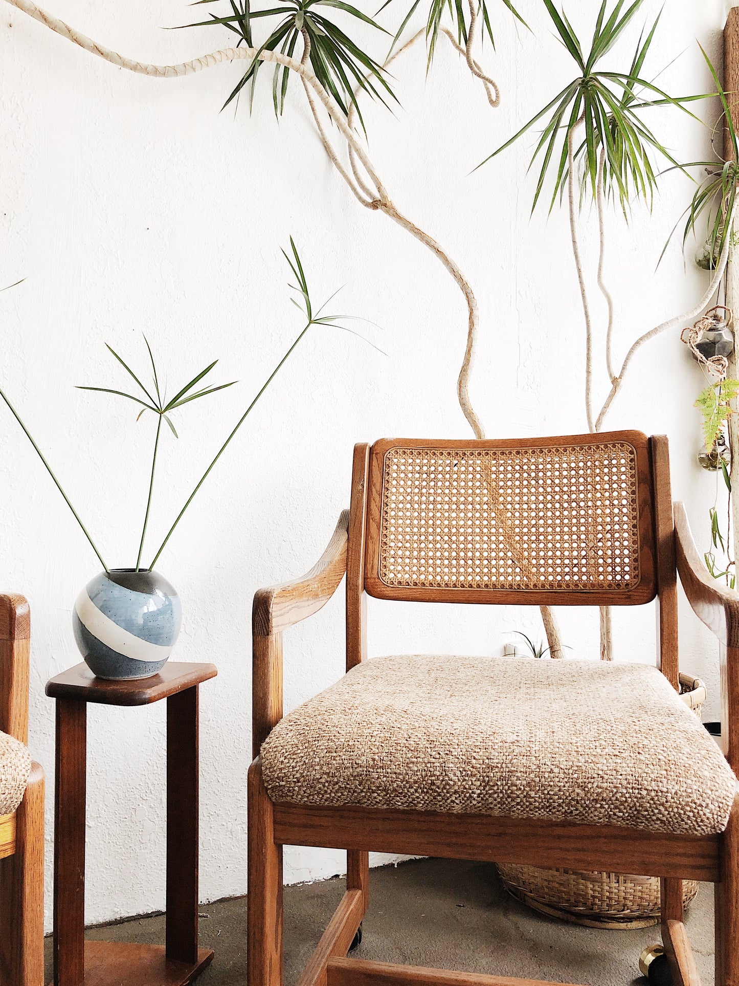 Vintage Rolling Cane Back Chair