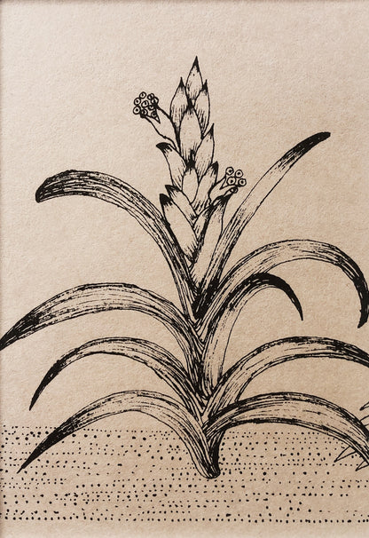 Vintage Win Ng Illustration