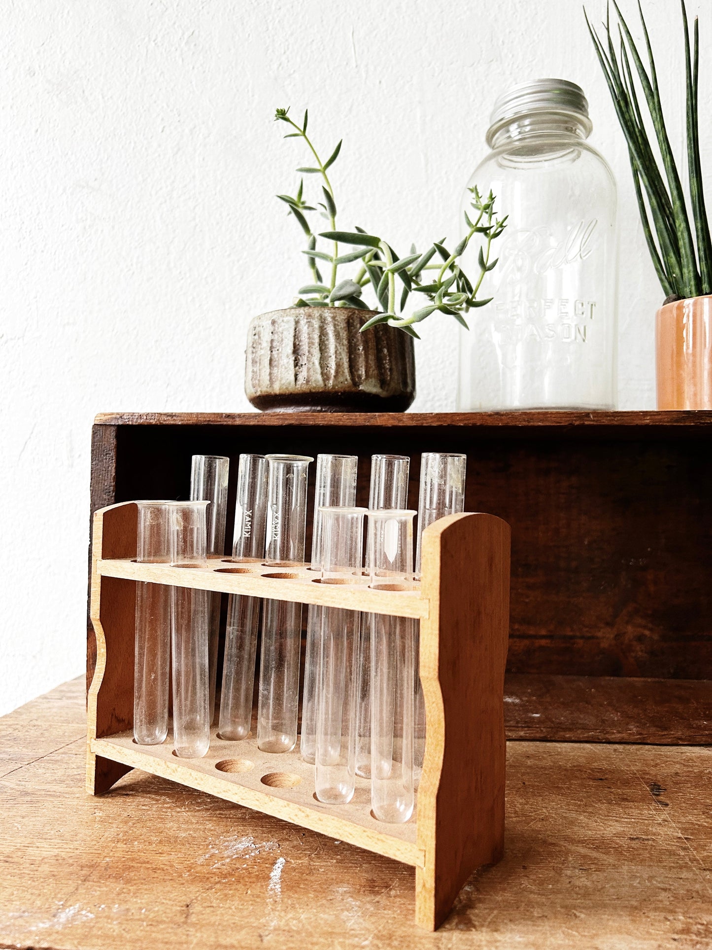 Vintage Chemistry Set for Plant Starts