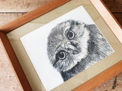 Vintage Framed Charcoal Owl Sketch