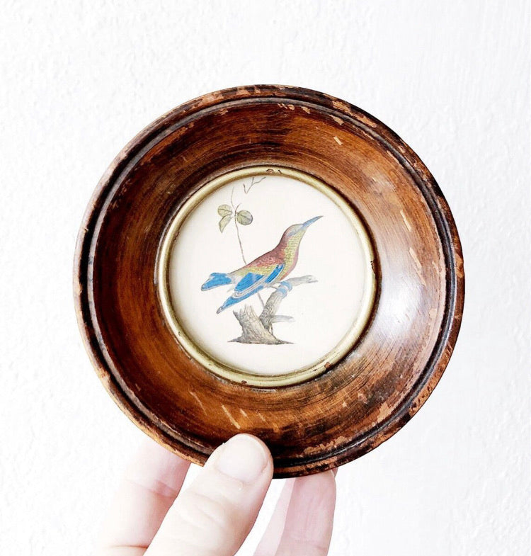 Antique Avian Lithograph