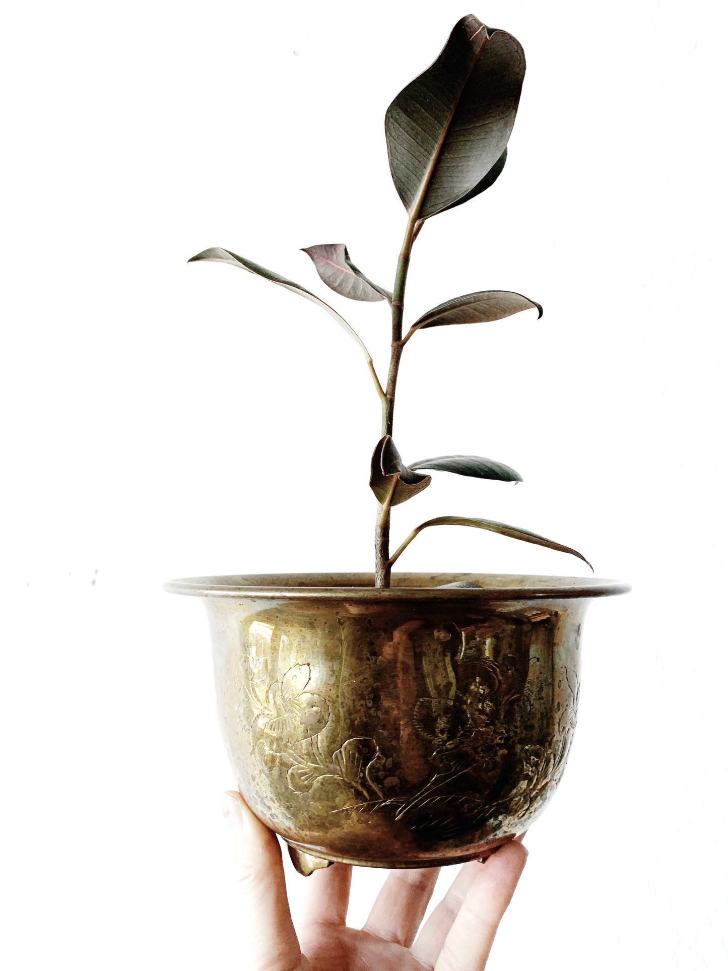Vintage Incised Brass Plant Pot
