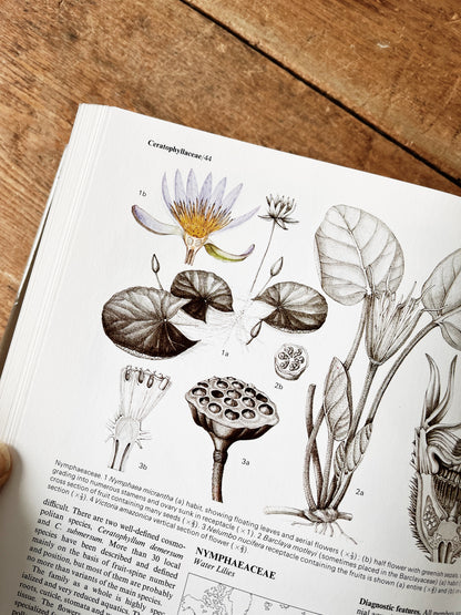 Flowering Plants of the World 1977