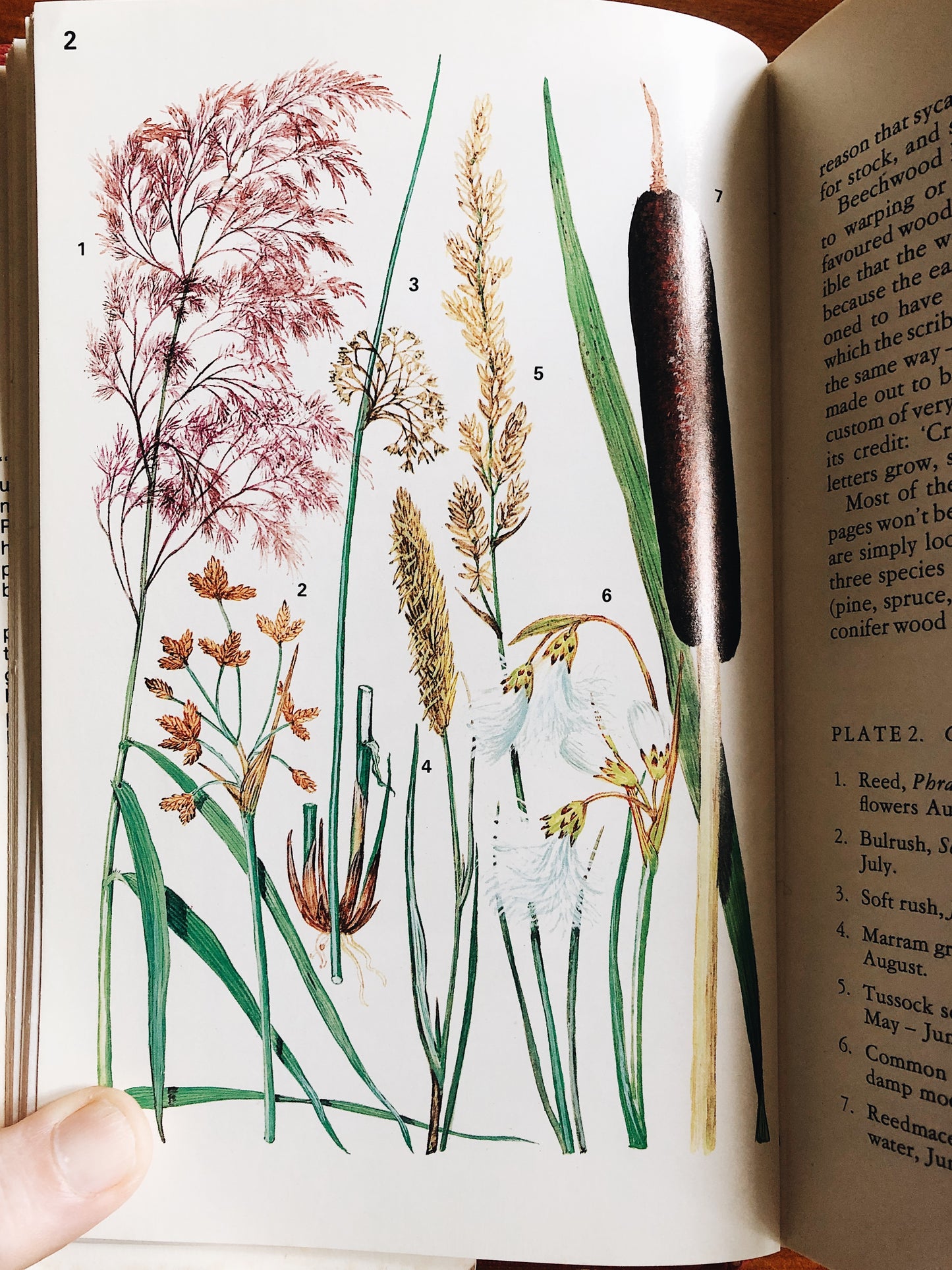 Vintage 1970s Plantcraft Book