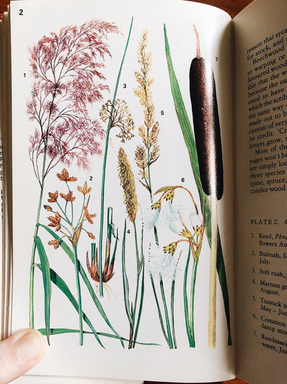 Vintage 1970s Plantcraft Book