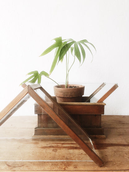 Vintage Geometric Terrarium