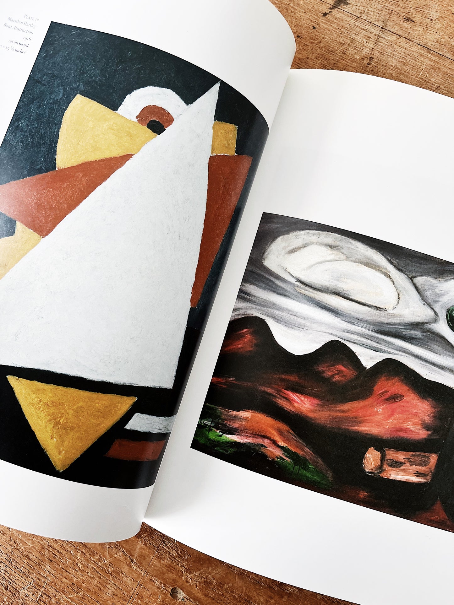 American Modernist Art Book
