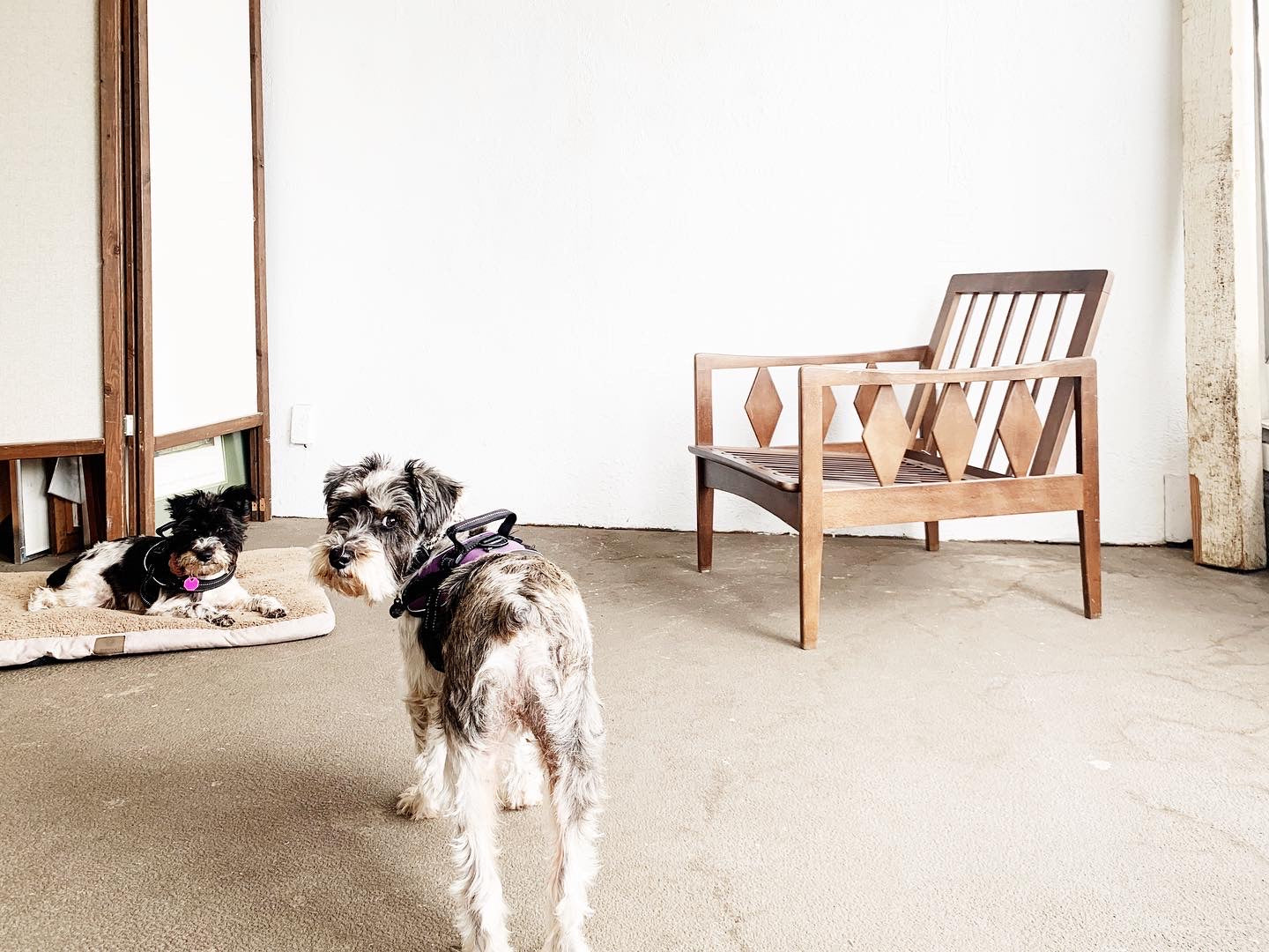 Mid Century Chair