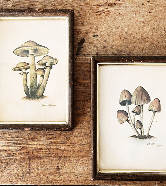 Vintage Hand Colored Mushroom Print