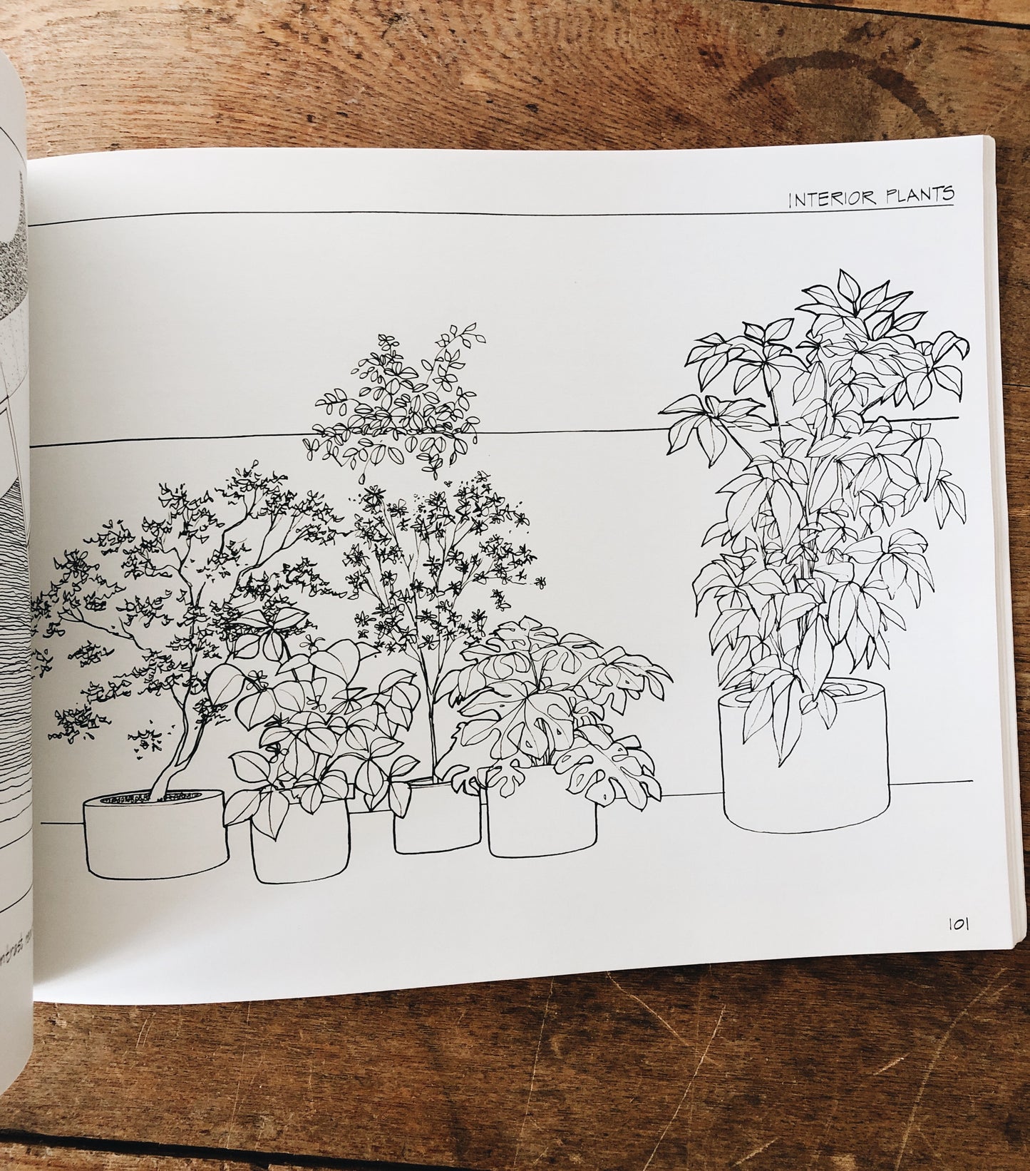 Vintage Architectural Drawing Book