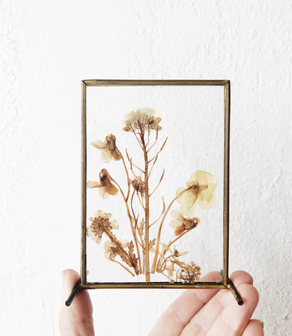 Vintage Pressed Flowers in Brass