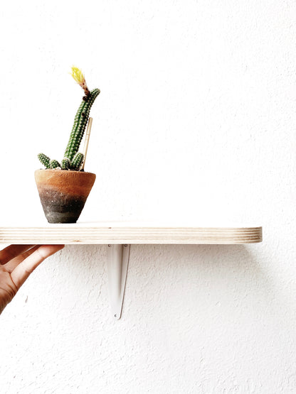 Baltic Birch Ply Wall Shelf