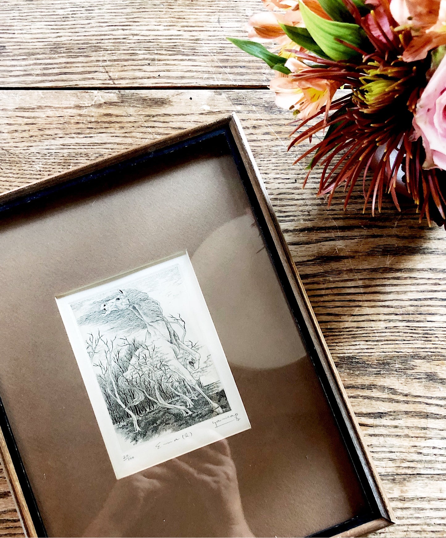 Original Wild Horse Etching