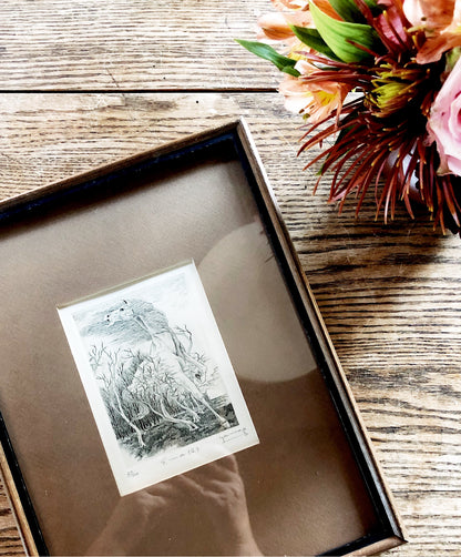 Original Wild Horse Etching