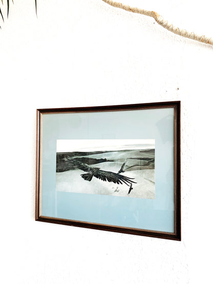 Vintage Framed Paul Carey Bird of Prey Art Print