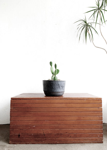 Vintage Handmade Trunk