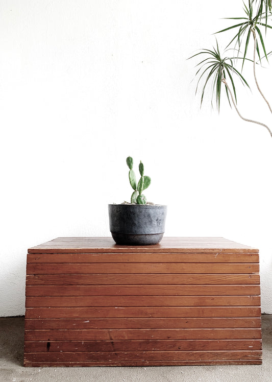 Vintage Handmade Trunk