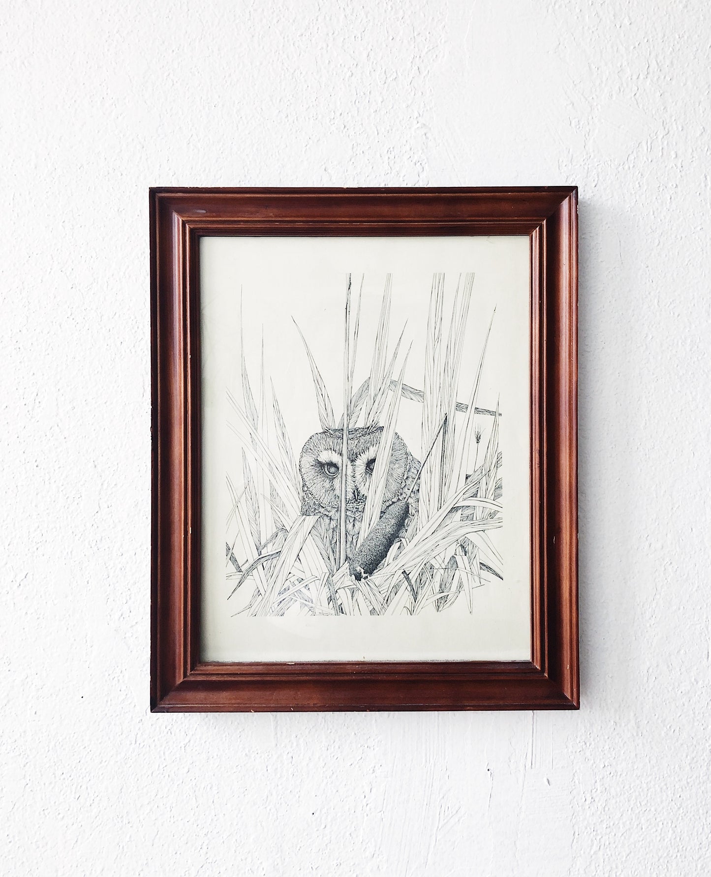 Vintage Parnell Framed Owl Illustration