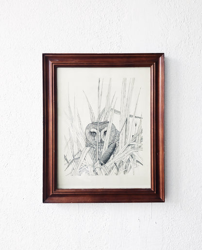 Vintage Parnell Framed Owl Illustration