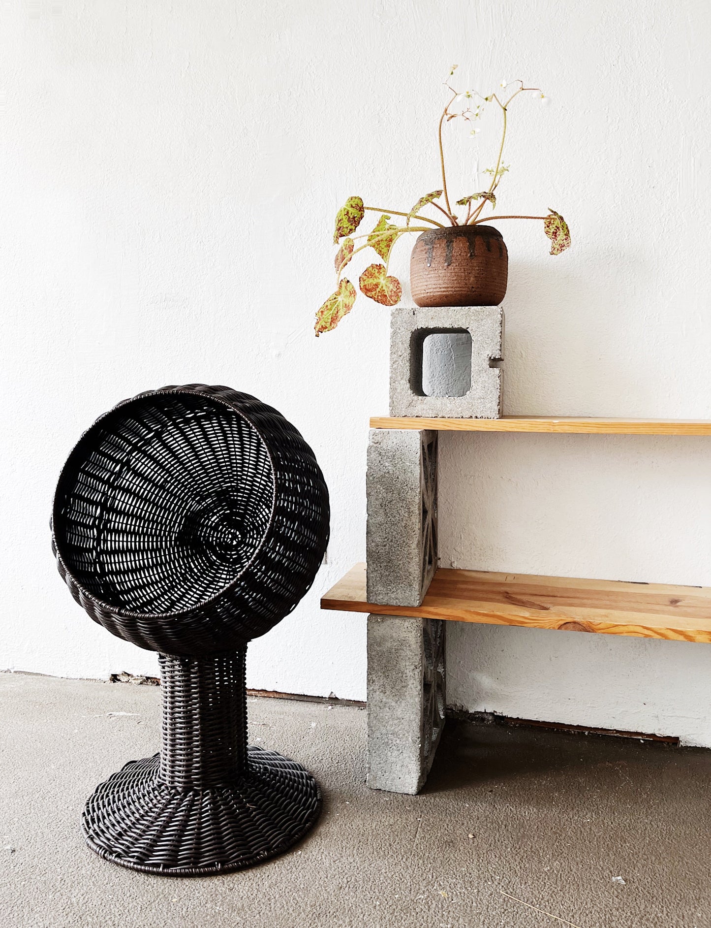 Modernist Style Cat Hut