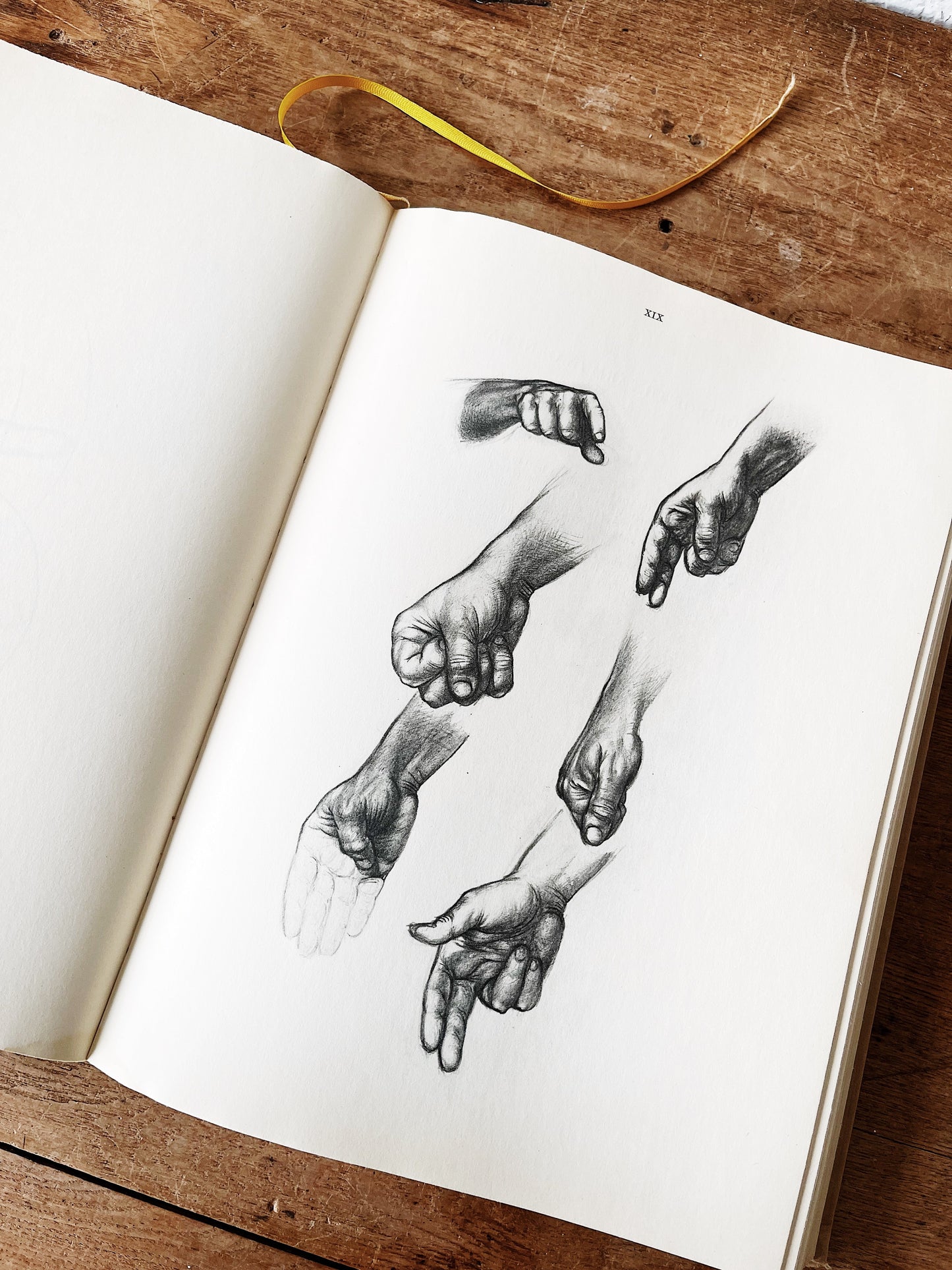 Mid Century Anatomy for the Artist Book
