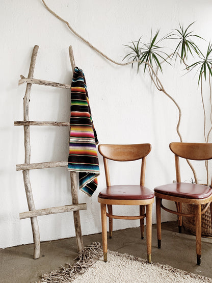 Driftwood Ladder
