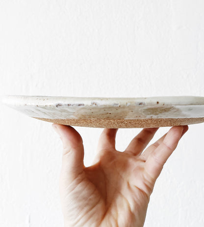 Handmade Pair of Stoneware Plates