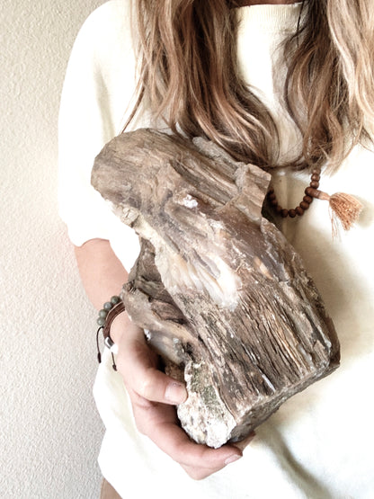 Large Petrified Wood Specimen