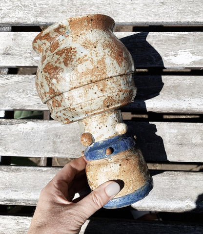 Potted Succulent in Handmade Vessel