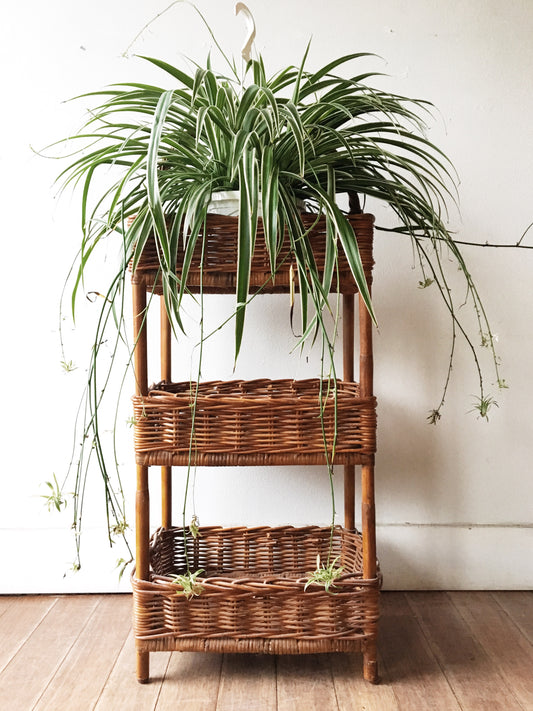 Tall Wicker Basket Shelf