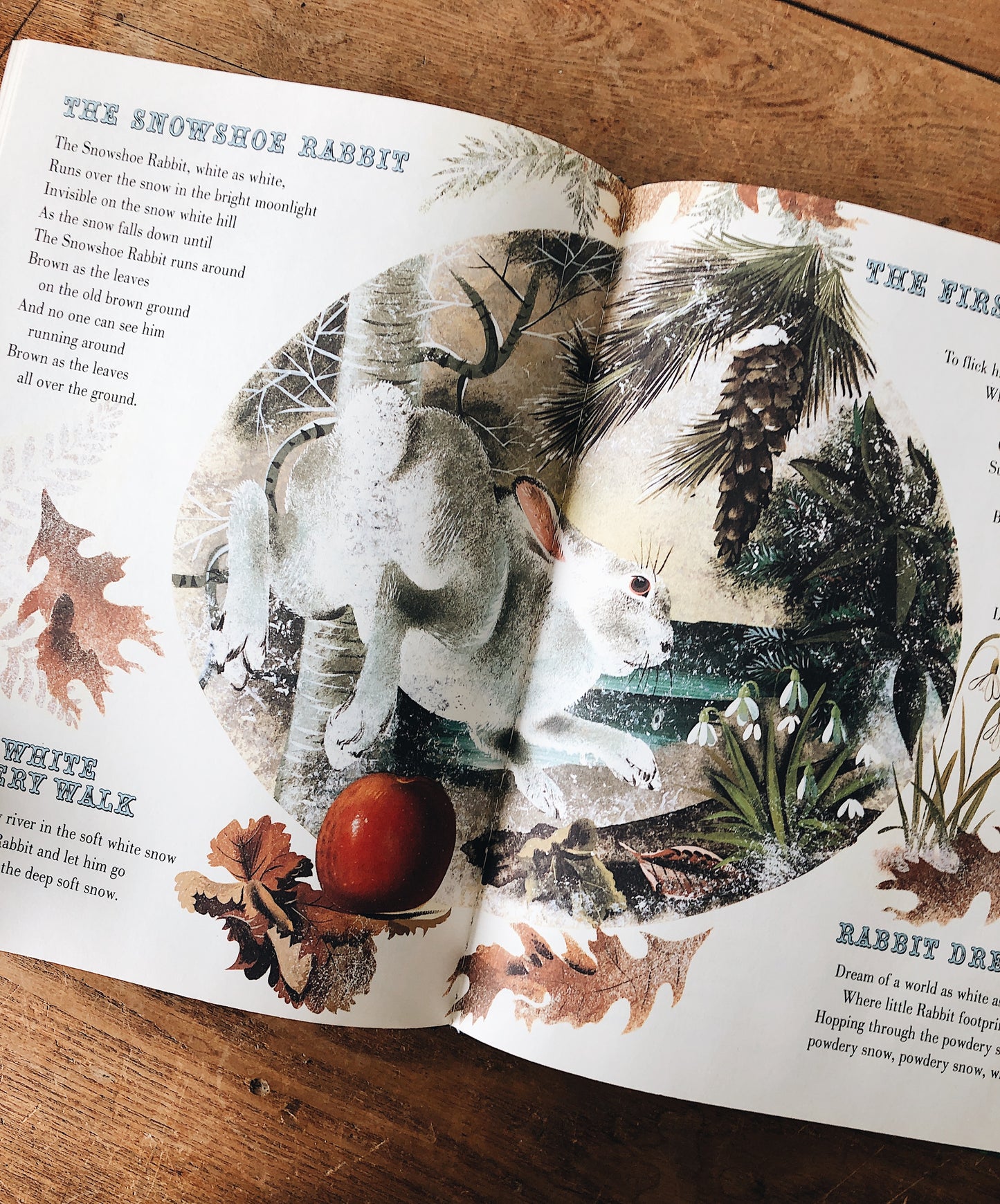 Vintage Children’s Book