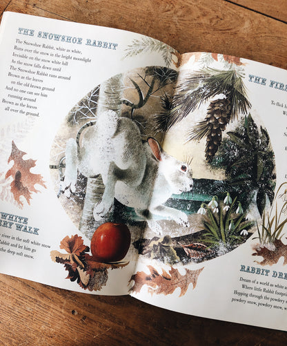 Vintage Children’s Book