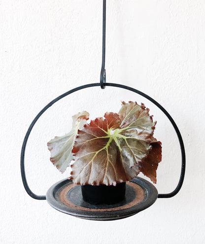 Vintage Iron Hanging Planter and Hook