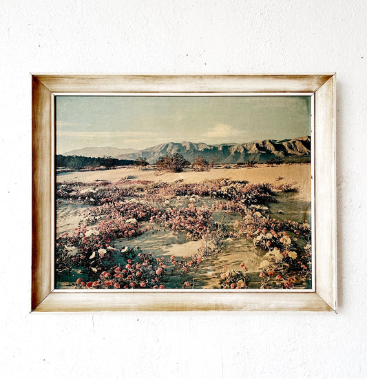 Vintage Desert Lithograph